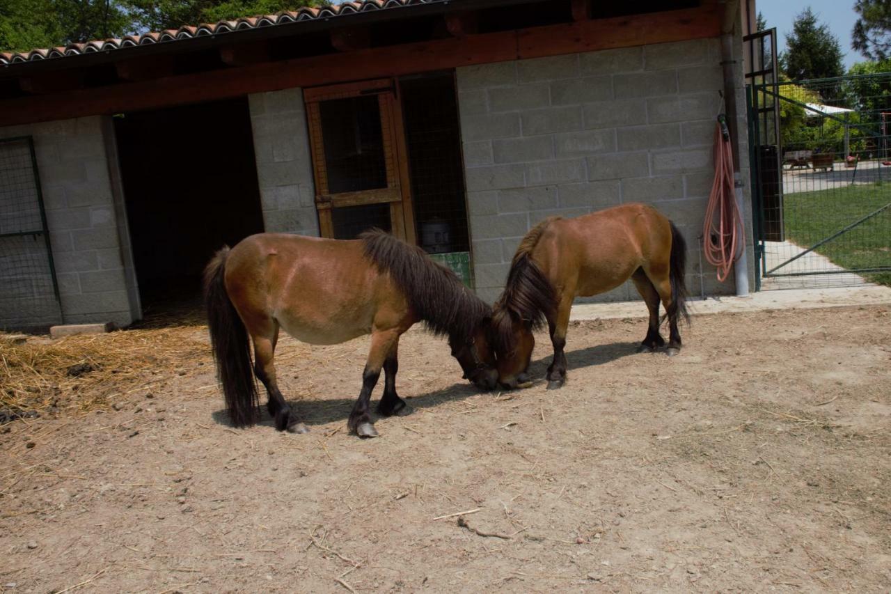 Casa Dei Ciliegi Castell'Alfero Βίλα Εξωτερικό φωτογραφία
